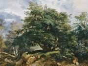 Jules Coignet The Old Oak in the Forest of Fontainebleau oil painting